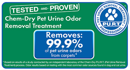 Pet Urine Removal Chem-Dry of St. Marys
